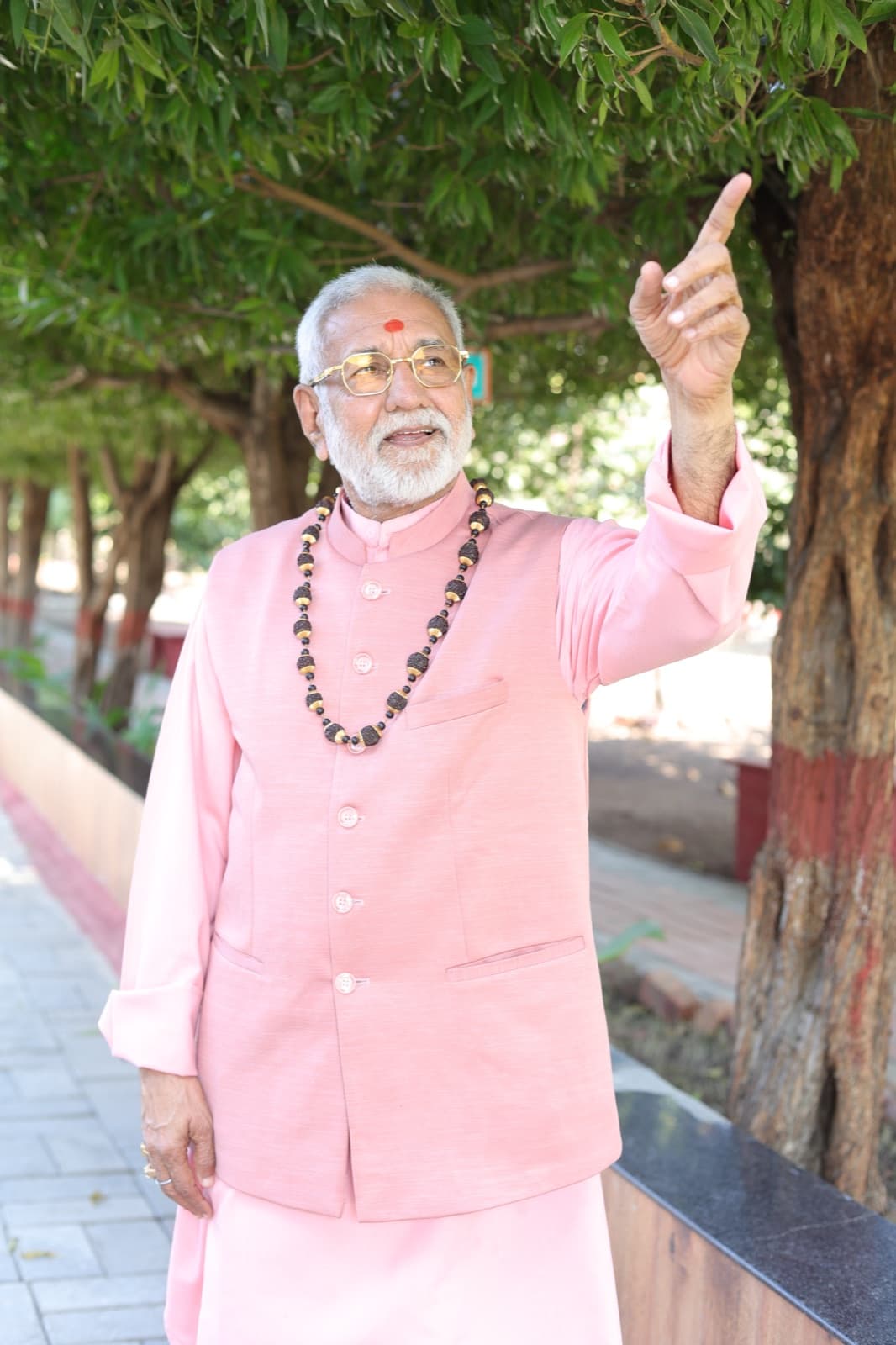 पं. विजय शंकर मेहता