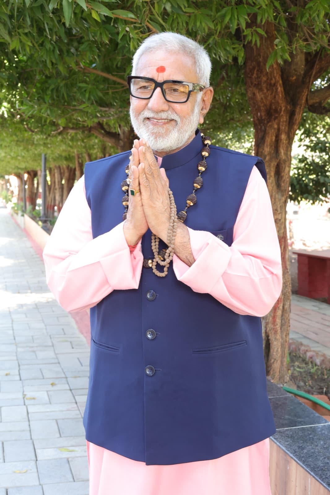 पं. विजय शंकर मेहता